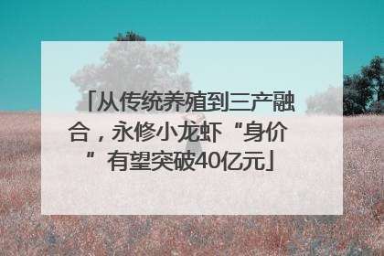 从传统养殖到三产融合，永修小龙虾“身价”有望突破40亿元