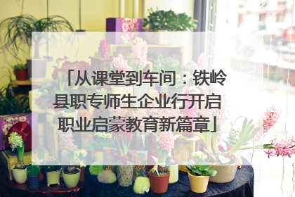 从课堂到车间：铁岭县职专师生企业行开启职业启蒙教育新篇章