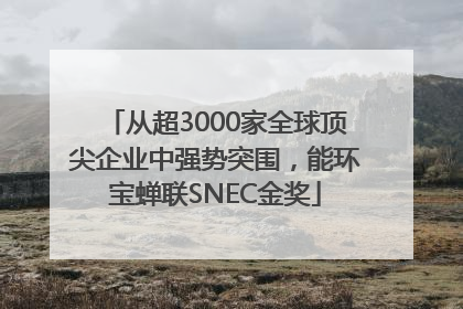 从超3000家全球顶尖企业中强势突围，能环宝蝉联SNEC金奖