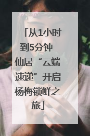 从1小时到5分钟 仙居“云端速递”开启杨梅锁鲜之旅