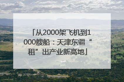 从2000架飞机到1000艘船：天津东疆“租”出产业新高地