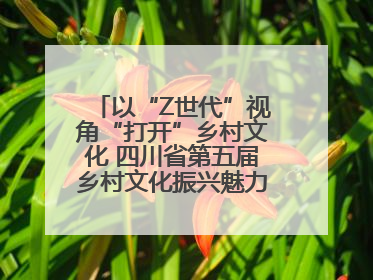 以“Z世代”视角“打开”乡村文化 四川省第五届乡村文化振兴魅力竞演大赛启动