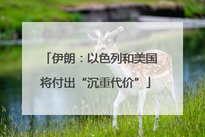 伊朗：以色列和美国将付出“沉重代价”