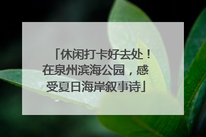 休闲打卡好去处！在泉州滨海公园，感受夏日海岸叙事诗