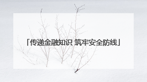 传递金融知识 筑牢安全防线