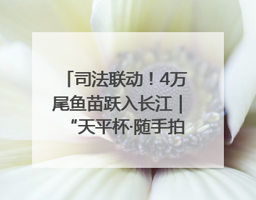 司法联动！4万尾鱼苗跃入长江｜“天平杯·随手拍”作品展播
