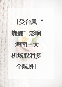 受台风“蝴蝶”影响 海南三大机场取消多个航班