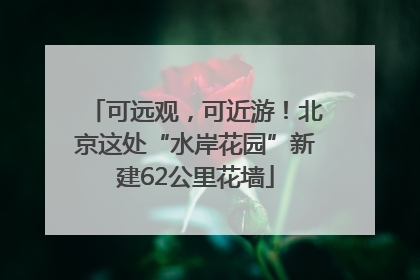 可远观，可近游！北京这处“水岸花园”新建62公里花墙