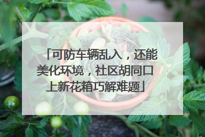 可防车辆乱入，还能美化环境，社区胡同口上新花箱巧解难题