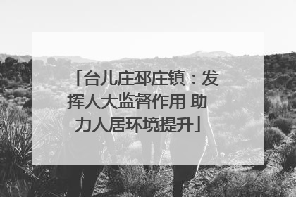 台儿庄邳庄镇：发挥人大监督作用 助力人居环境提升