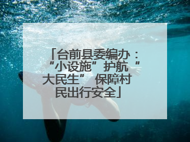 台前县委编办：“小设施”护航“大民生” 保障村民出行安全