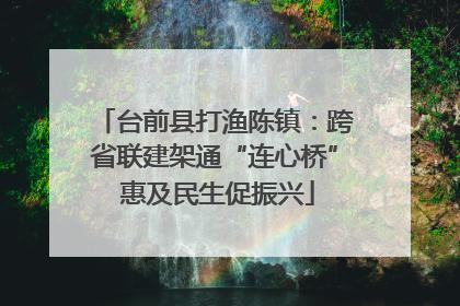 台前县打渔陈镇：跨省联建架通“连心桥” 惠及民生促振兴