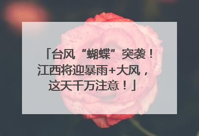 台风“蝴蝶”突袭！江西将迎暴雨+大风，这天千万注意！