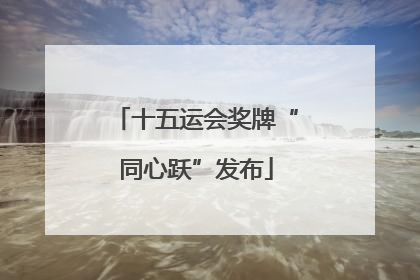 十五运会奖牌“同心跃”发布