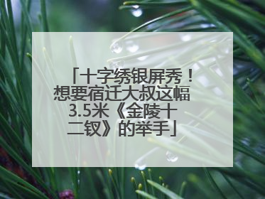 十字绣银屏秀！想要宿迁大叔这幅3.5米《金陵十二钗》的举手