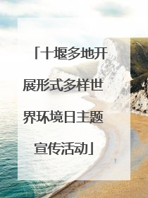 十堰多地开展形式多样世界环境日主题宣传活动