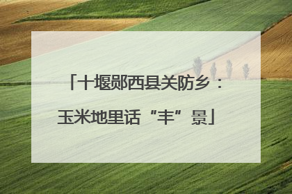 十堰郧西县关防乡：玉米地里话“丰”景