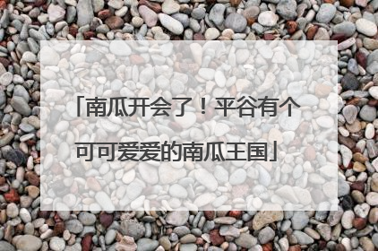 南瓜开会了！平谷有个可可爱爱的南瓜王国