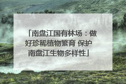 南盘江国有林场：做好珍稀植物繁育 保护南盘江生物多样性