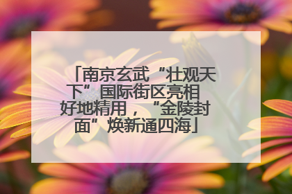 南京玄武“壮观天下”国际街区亮相 好地精用，“金陵封面”焕新通四海
