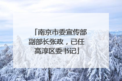 南京市委宣传部副部长张政，已任高淳区委书记