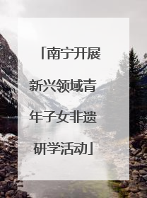 南宁开展新兴领域青年子女非遗研学活动