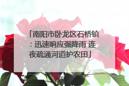 南阳市卧龙区石桥镇：迅速响应强降雨 连夜疏通河道护农田