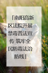南阳高新区法院开展禁毒普法宣传 筑牢全民防毒法治防线