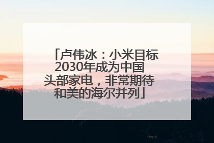 卢伟冰：小米目标2030年成为中国头部家电，非常期待和美的海尔并列