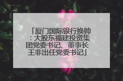 厦门国际银行换帅：大股东福建投资集团党委书记、董事长王非出任党委书记
