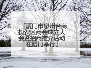 厦门市泉州台商投资区商会成立大会暨招商推介活动在厦门举行