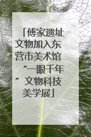 傅家遗址文物加入东营市美术馆“一眼千年”文物科技美学展