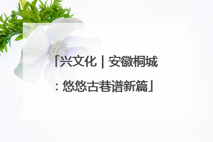 兴文化｜安徽桐城：悠悠古巷谱新篇