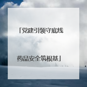 党建引领守底线 药品安全筑根基