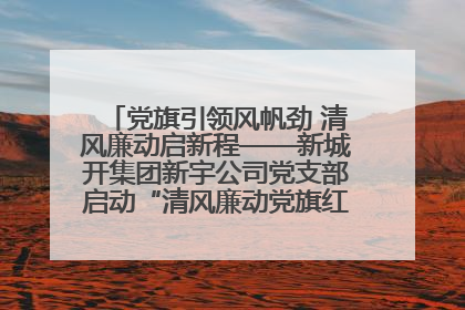 党旗引领风帆劲 清风廉动启新程——新城开集团新宇公司党支部启动“清风廉动党旗红”系列活动