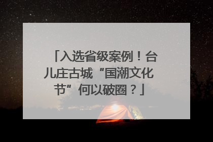 入选省级案例！台儿庄古城“国潮文化节”何以破圈？
