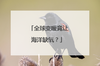 全球变暖竟让海洋缺氧？
