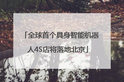 全球首个具身智能机器人4S店将落地北京