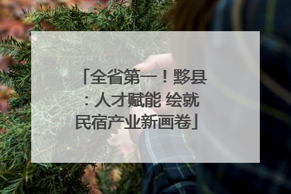 全省第一！黟县：人才赋能 绘就民宿产业新画卷
