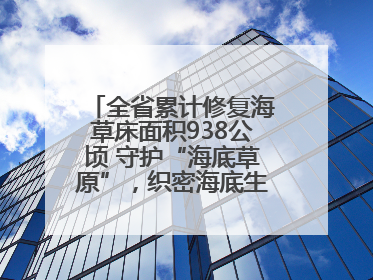 全省累计修复海草床面积938公顷 守护“海底草原”，织密海底生态“一张网”