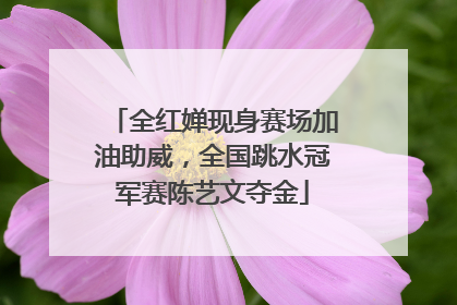 全红婵现身赛场加油助威，全国跳水冠军赛陈艺文夺金