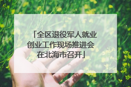 全区退役军人就业创业工作现场推进会在北海市召开