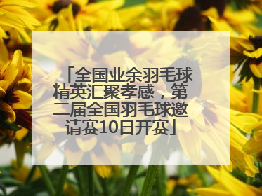 全国业余羽毛球精英汇聚孝感，第二届全国羽毛球邀请赛10日开赛