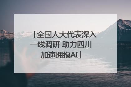 全国人大代表深入一线调研 助力四川加速拥抱AI