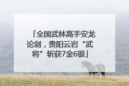 全国武林高手安龙论剑，贵阳云岩“武将”斩获7金6银