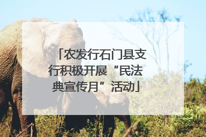 农发行石门县支行积极开展“民法典宣传月”活动