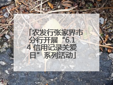 农发行张家界市分行开展“6.14 信用记录关爱日”系列活动