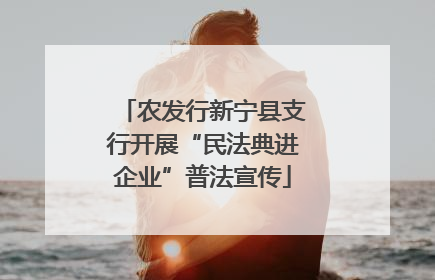 农发行新宁县支行开展“民法典进企业”普法宣传