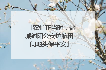 农忙正当时，盐城射阳公安护航田间地头保平安
