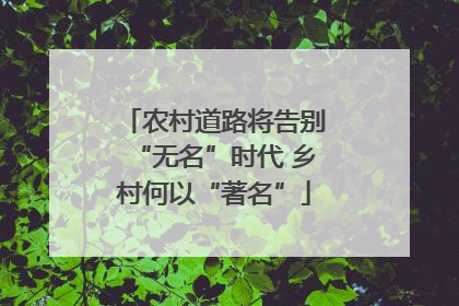 农村道路将告别“无名”时代 乡村何以“著名”